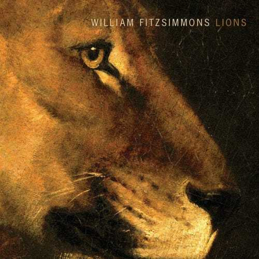 William Fitzsimmons  Lions  CD