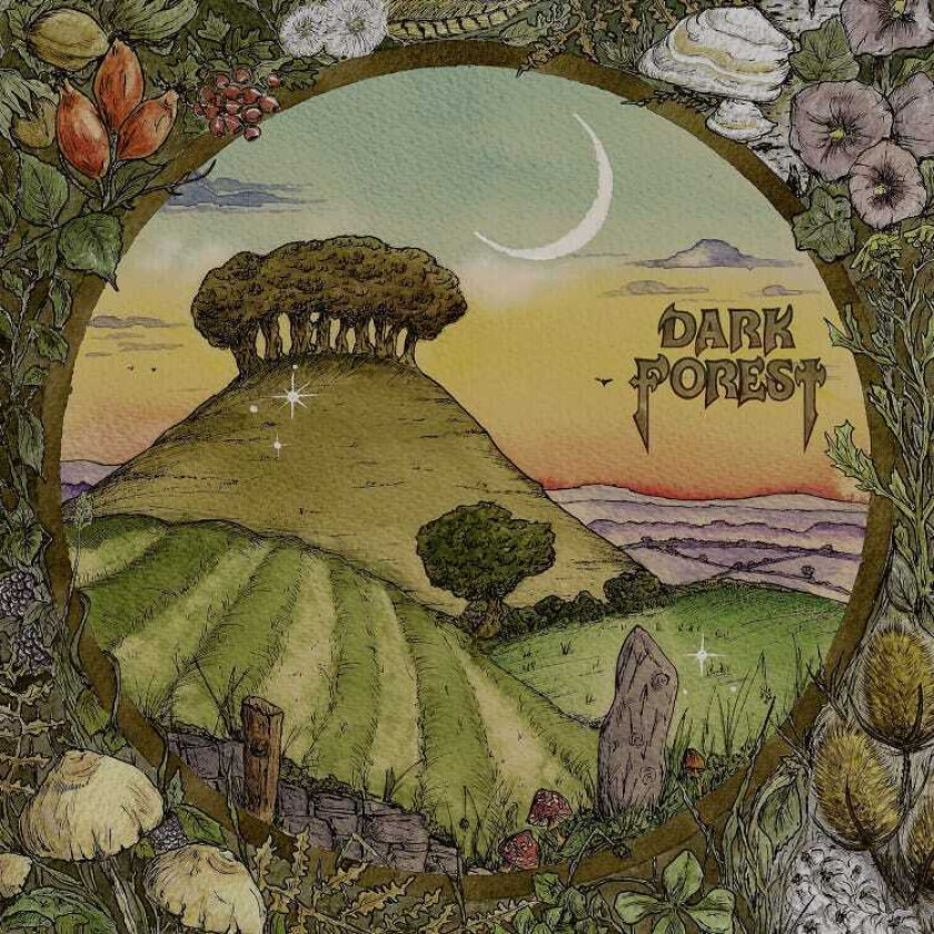 Dark Forest Ridge & Furrow LP/Vinyl