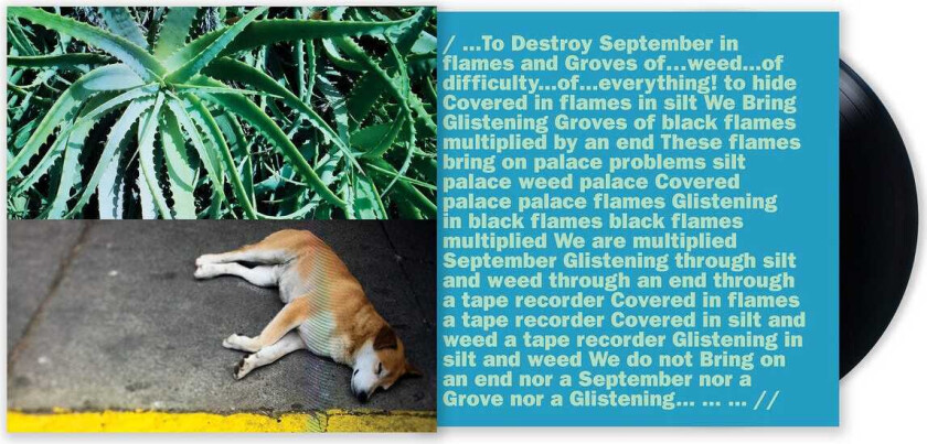 Steve Bates All The Things That Happen LP/Vinyl