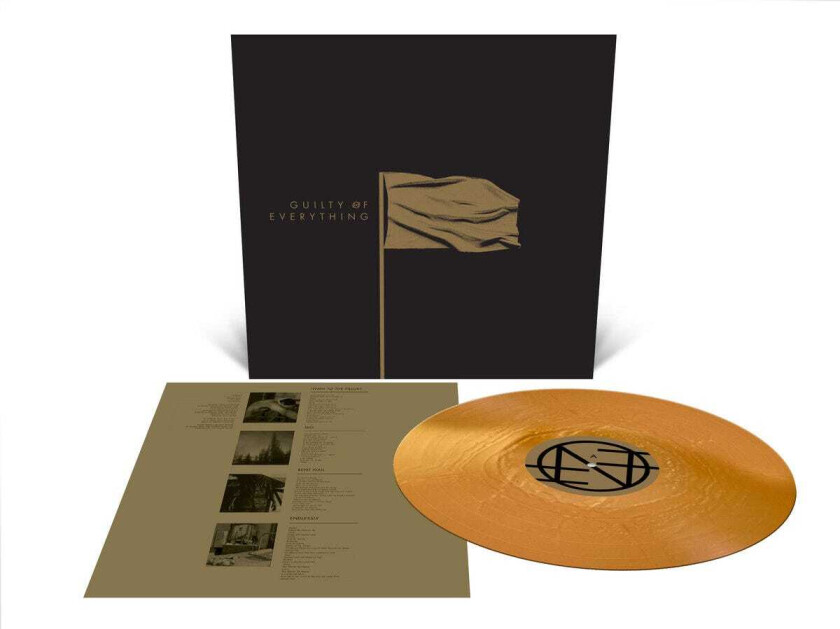 Nothing Guilty Of Everything LP/Vinyl