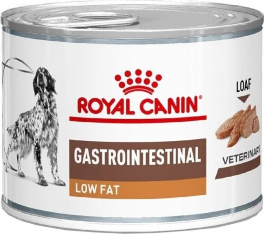 Gastro Intestinal Low Fat 12x200 g