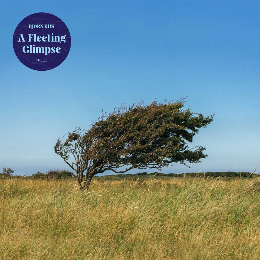 Bjørn Riis A Fleeting Glipse CD