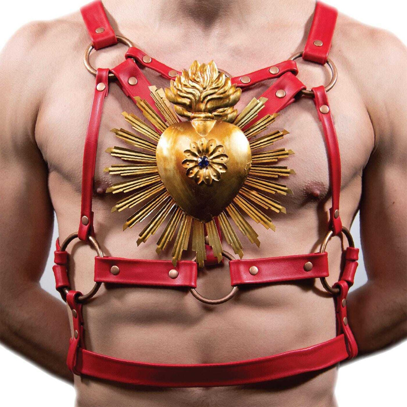 The Paisley Fields Limp Wrist LP/Vinyl