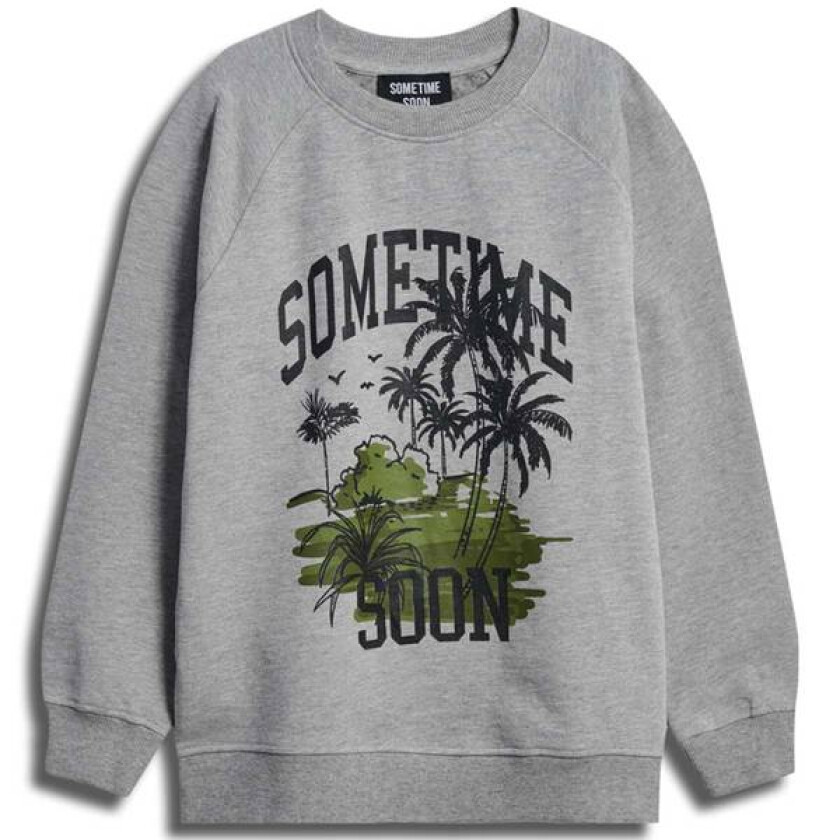 Palm Sweatshirt Til Barn, Grey Melange