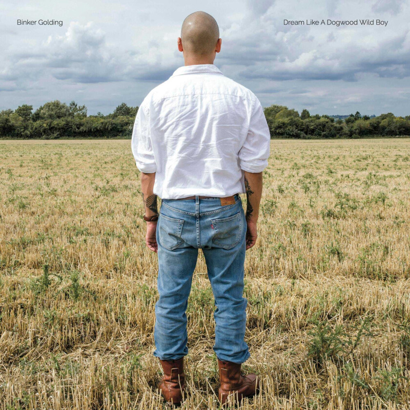 Golding Binker Dream Like A Dogwood Wild Boy LP/Vinyl