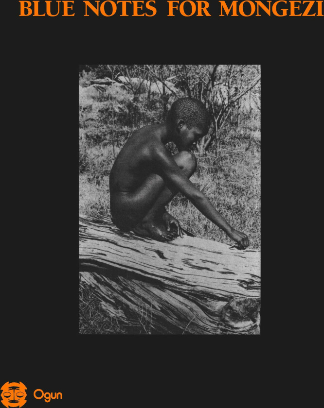 Blue Notes Blue Notes For Mongezi LP/Vinyl