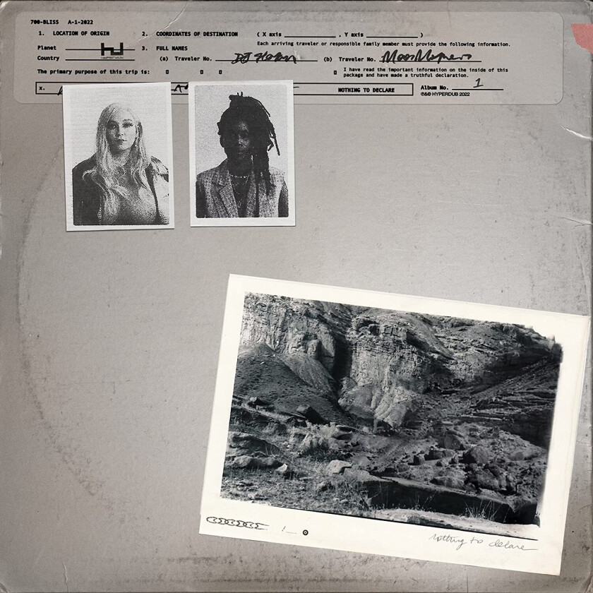 700 Bliss Nothing To Declare LP/Vinyl