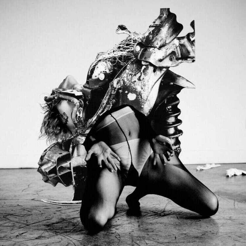 Black Magnet Body Prophecy CD