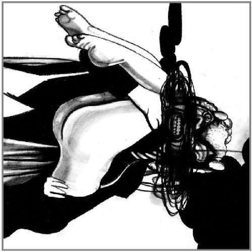 Loose Fur Born Again In The USA LP/Vinyl