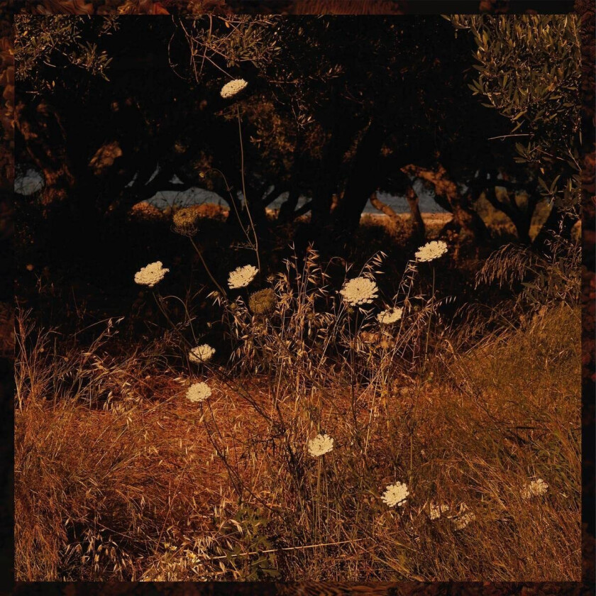 Szun Waves Earth Patterns LP/Vinyl