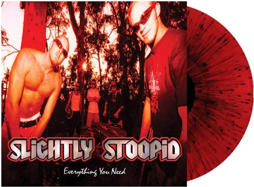 Slightly Stoopid Everything You Need LP/Vinyl