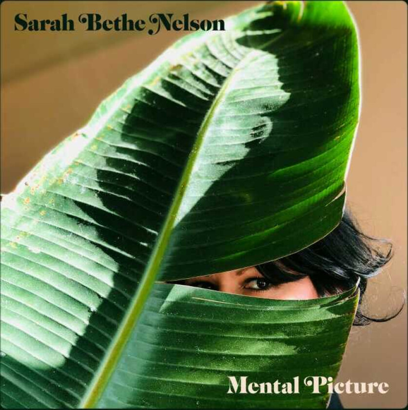 Sarah Bethe Nelson Mental Picture LP/Vinyl