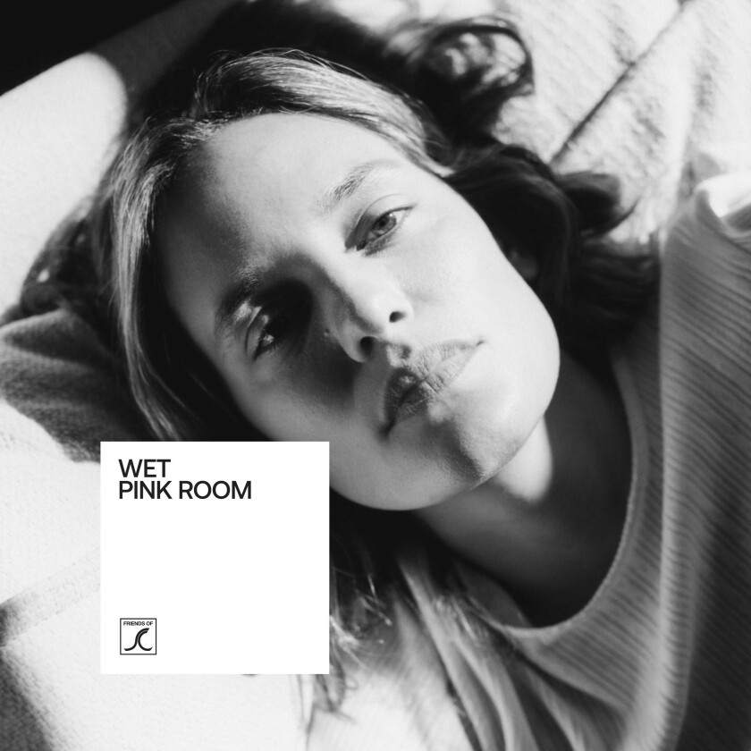 Wet  Pink Room  LP/Vinyl