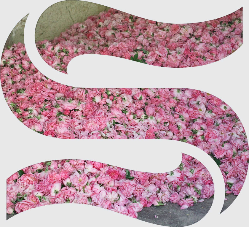 Braxe & Falcon Step By Step LP/Vinyl