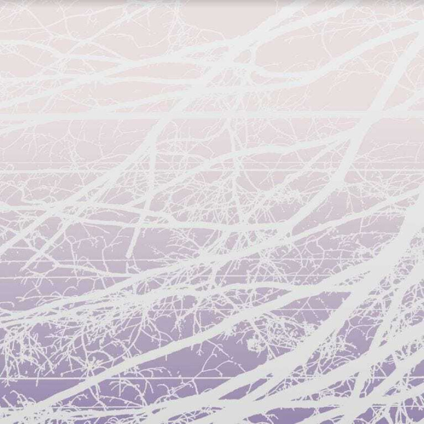 Lea Bertucci Metal Aether / Resonant Field LP/Vinyl