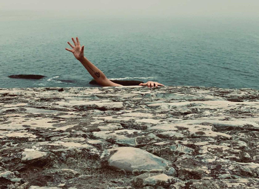 Pet Fox A Face In Your Life LP/Vinyl