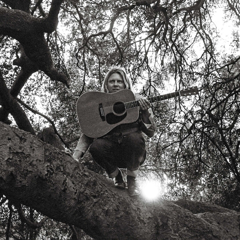 Ty Segall Hello, Hi LP/Vinyl
