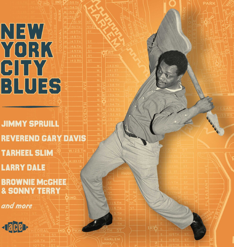 Diverse Blues New York City Blues CD