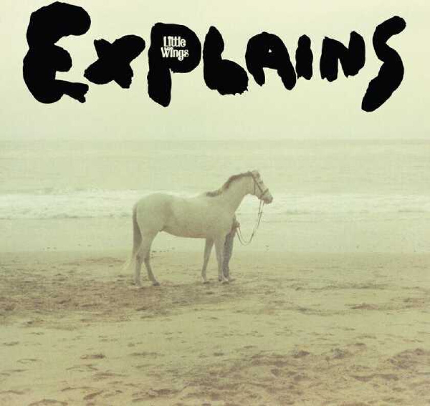 Little Wings Explains LP/Vinyl