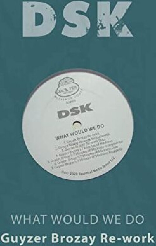Dsk What Would We Do Guyzer Brozay ReWork CD