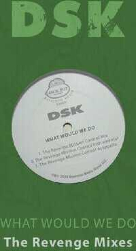Dsk What Would We Do The Revenge Mixes CD
