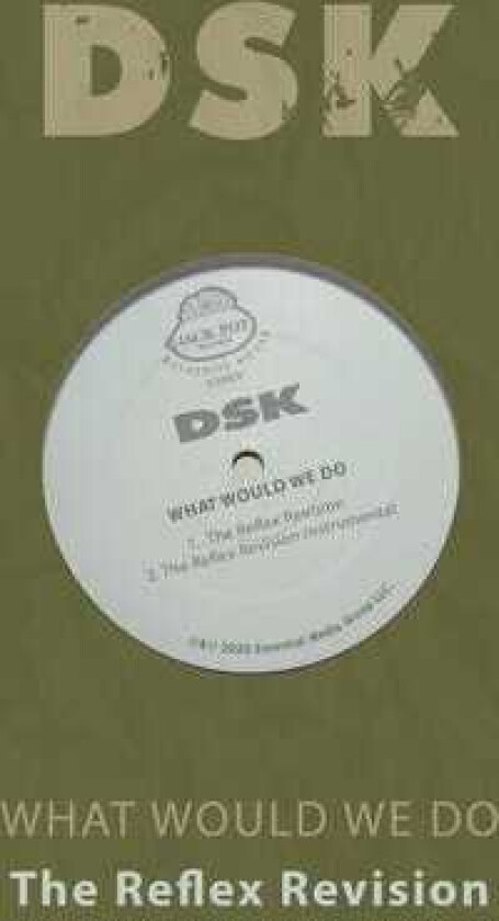 Dsk What Would We Do The Reflex Revision CD