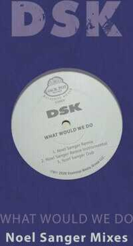 Dsk What Would We Do Noel Sanger Mixes CD