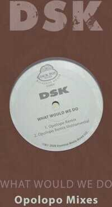 Dsk What Would We Do Opolopo Mixes CD