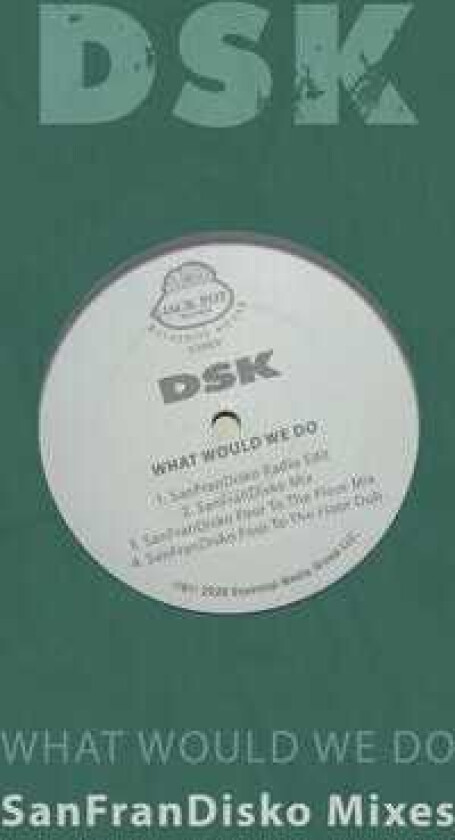 Dsk What Would We Do Sanfrandisko Mixes CD