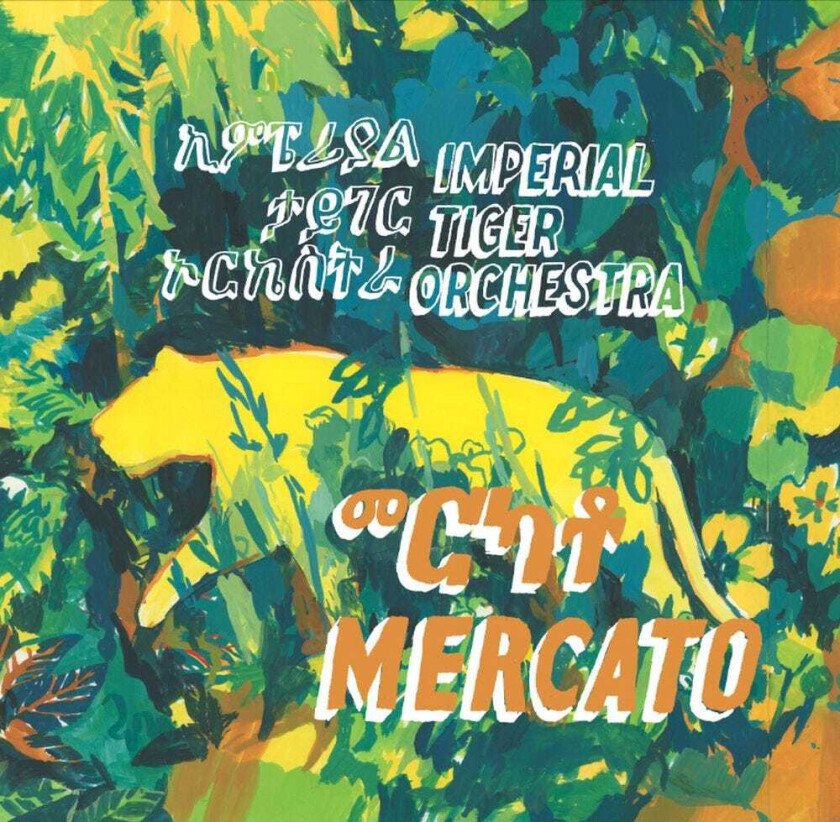 Imperial Tiger Orchestra Mercato LP/Vinyl