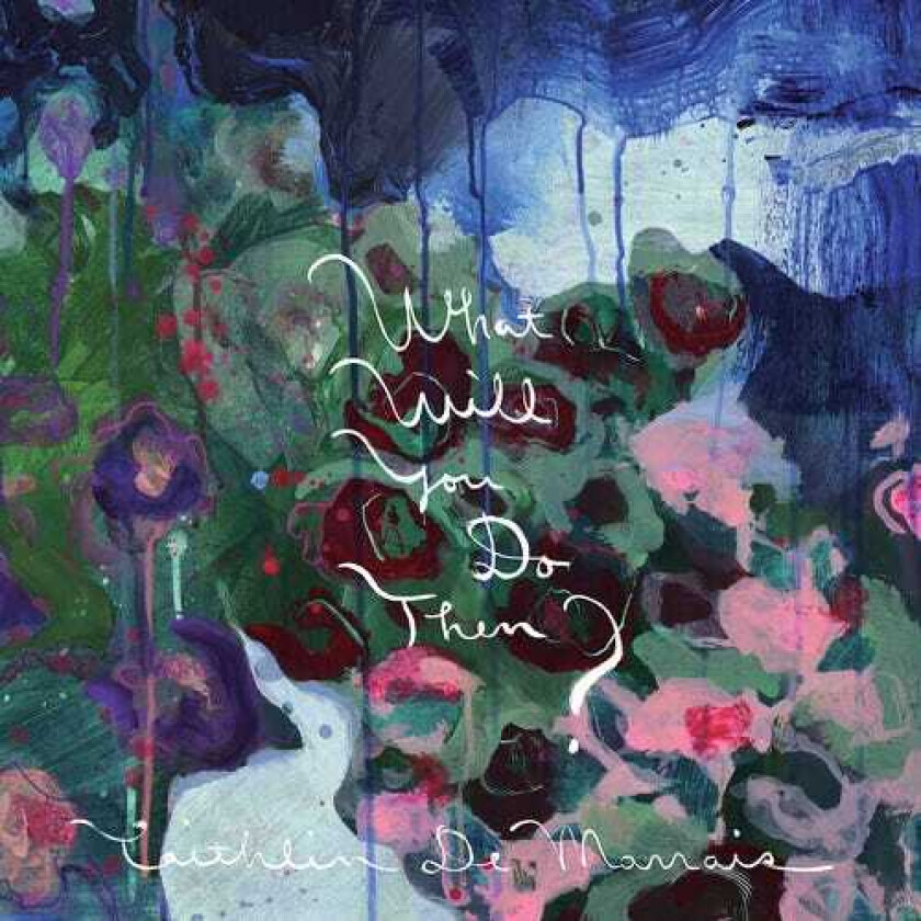 Caithlin De Marrais What Will You Do Then? LP/Vinyl