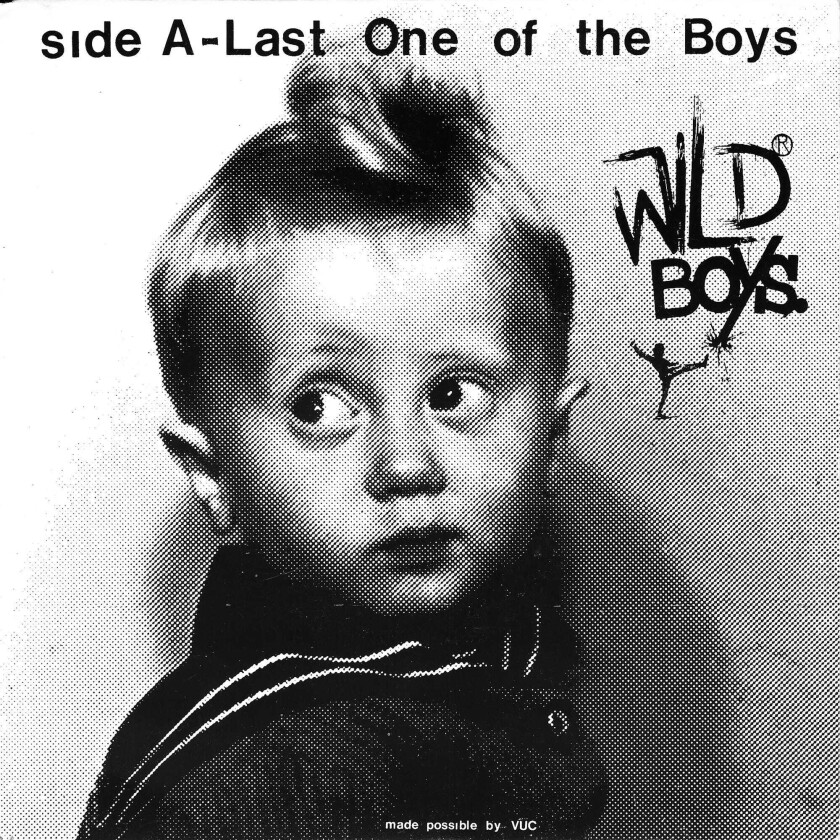 Wild Boys Last One Of The Boys LP/Vinyl