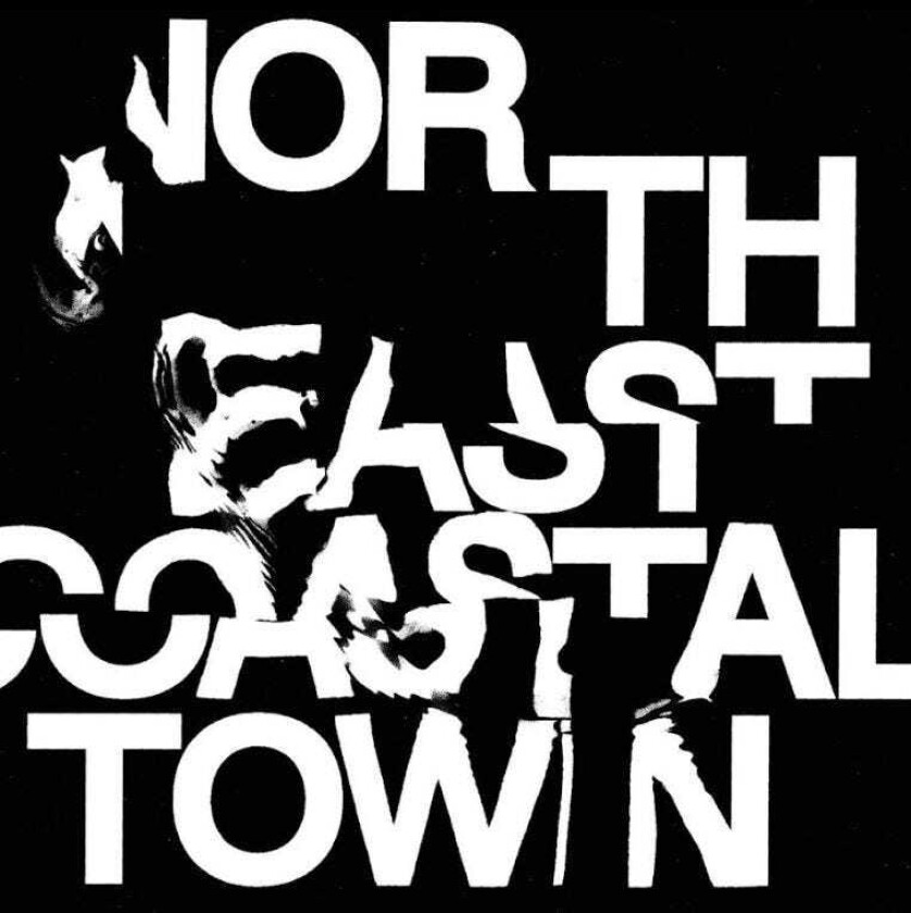 Life  North East Coastal Town  LP/Vinyl