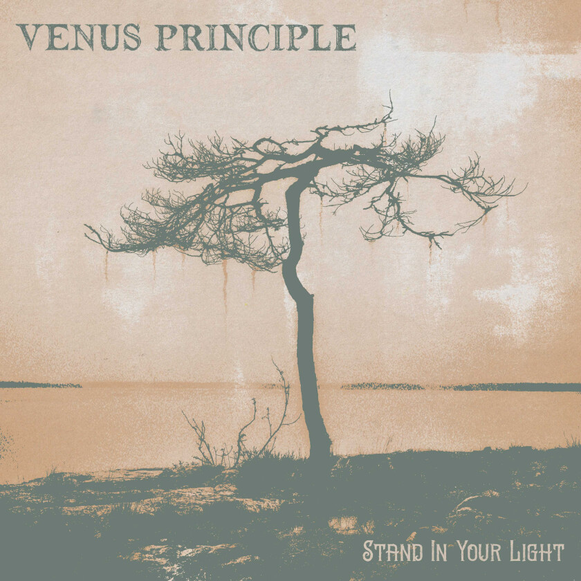Venus Principle Stand In Your Light CD