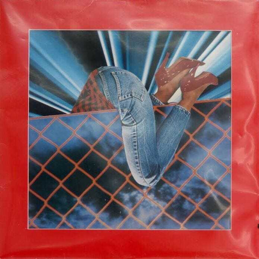 Diverse Artister 12 Compost Disco Years LP/Vinyl