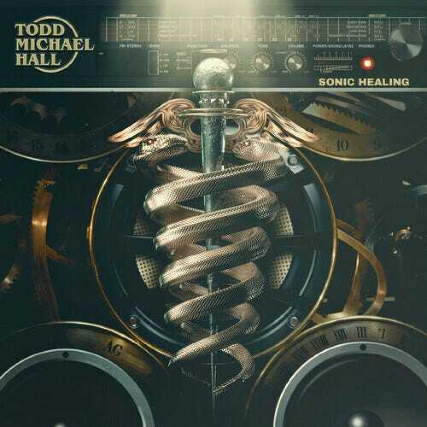 Todd Michael Hall Sonic Healing LP/Vinyl