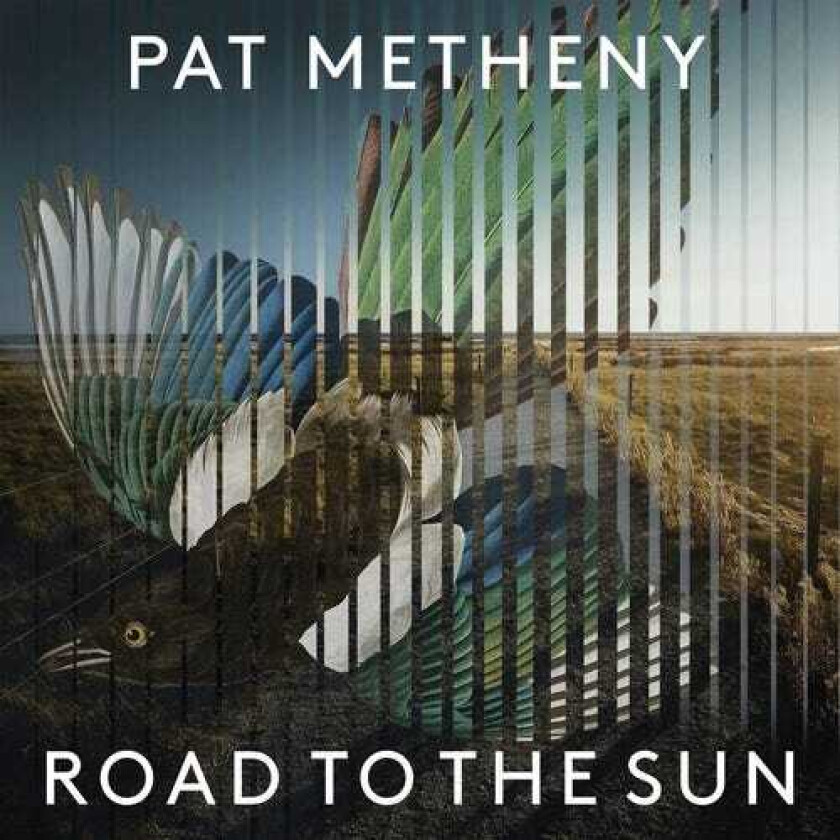 Pat Metheny Road To The Sun LP/Vinyl