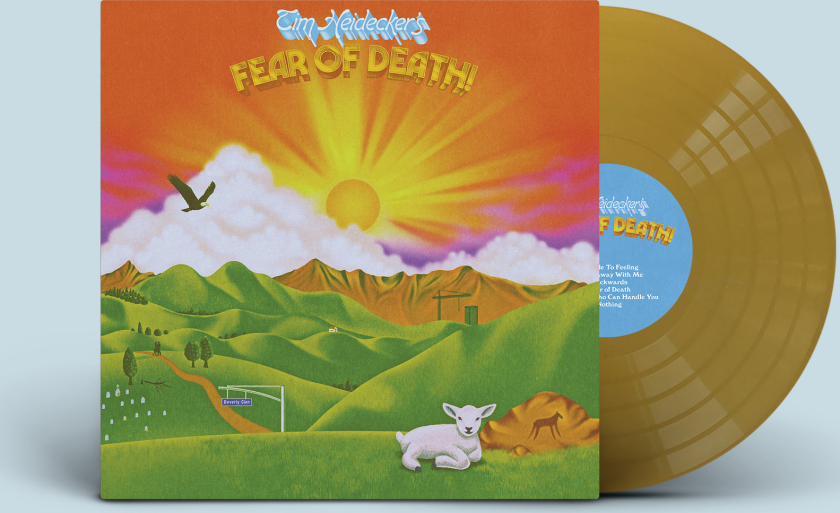 Tim Heidecker Fear Of Death LP/Vinyl