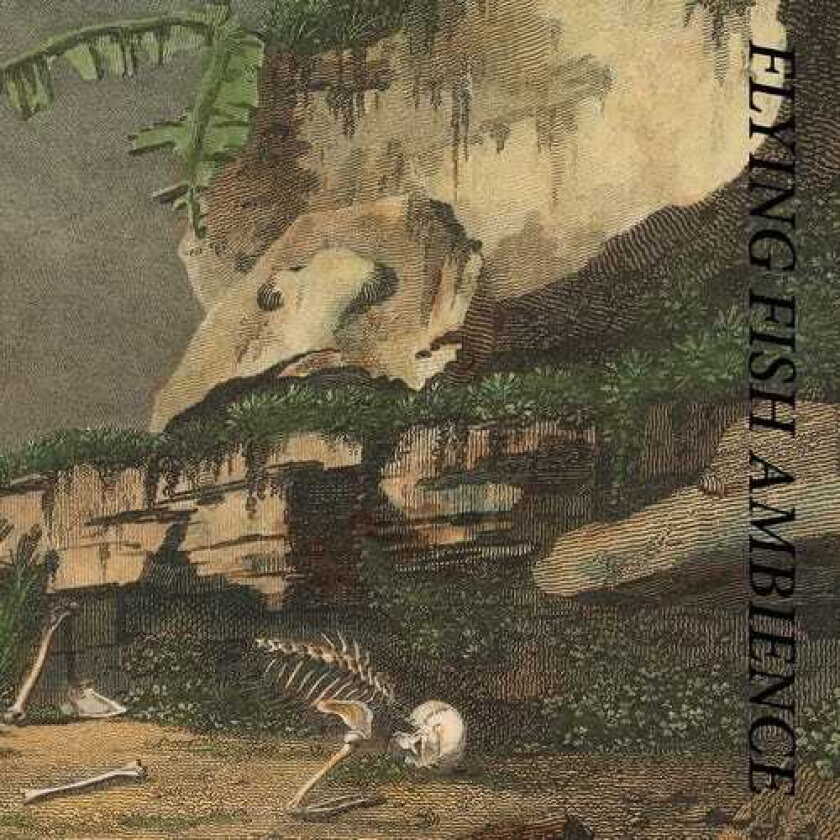 Rainforest Spiritual Enslavement Flying Fish Ambience LP/Vinyl