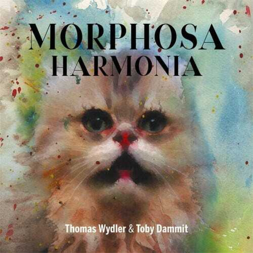 Thomas Wydler, Toby Dammit Morphosa Harmonia LP/Vinyl