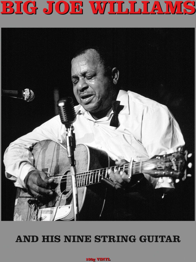 Big Joe Williams Big Joe Williams And His Nine String Guitar LP/Vinyl