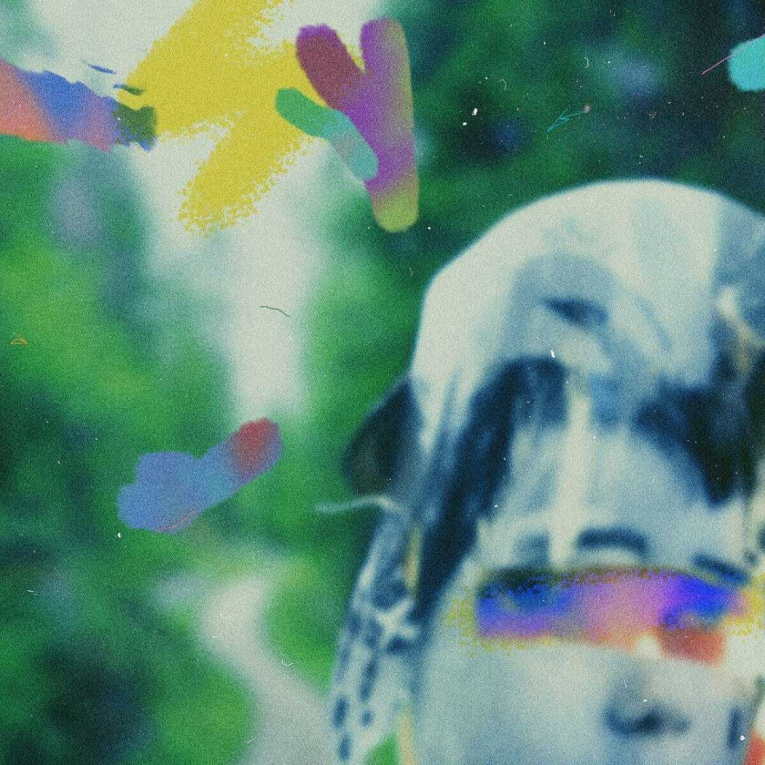 Team Me Something In The Making LP/Vinyl