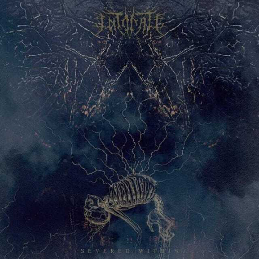 Intonate Severed Within LP/Vinyl