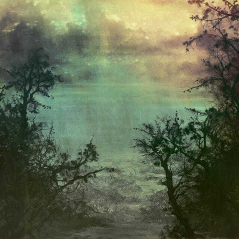 Coltsblood, Un Split LP/Vinyl