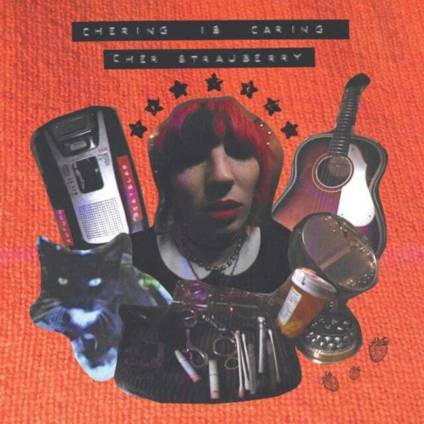 Cher Strauberry Chering Is Caring LP/Vinyl