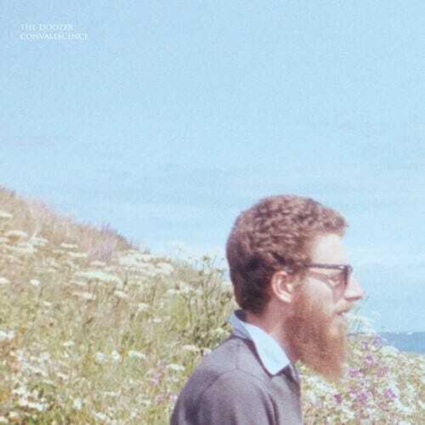 The Doozer Convalescence LP/Vinyl
