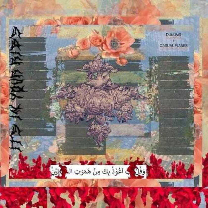 Dunums, Casual Planes Its In Your Ribs LP/Vinyl