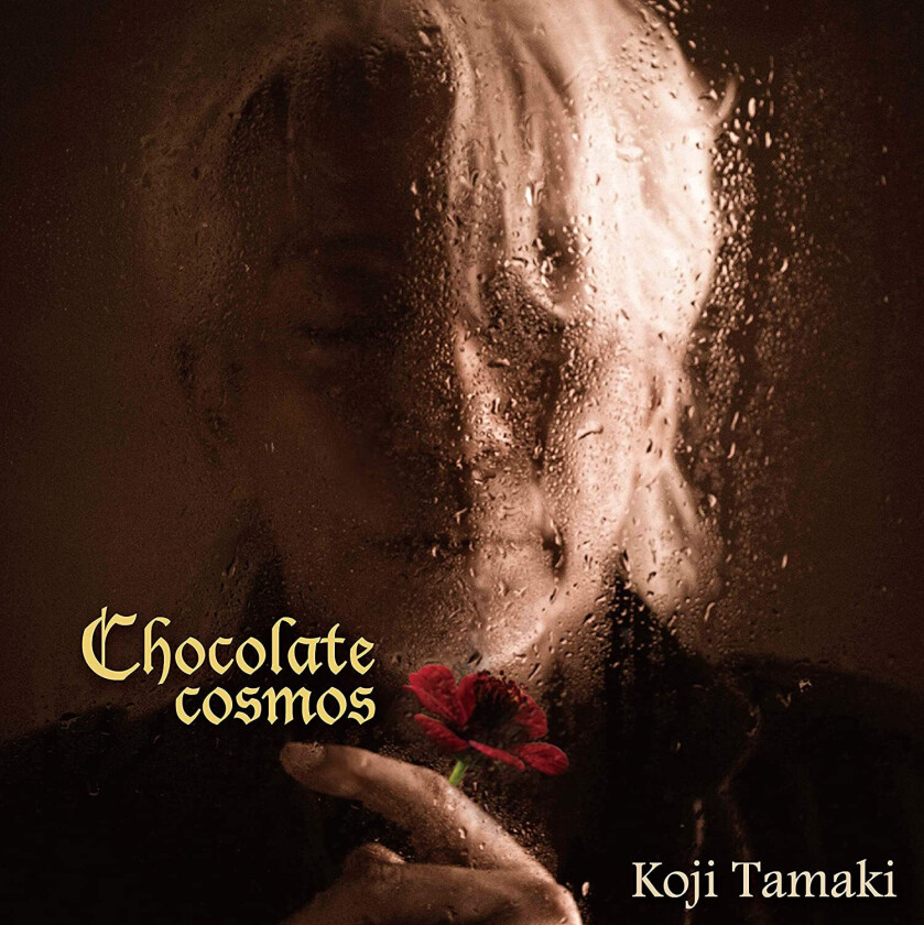Koji Tamaki Chocolate Cosmos LP/Vinyl
