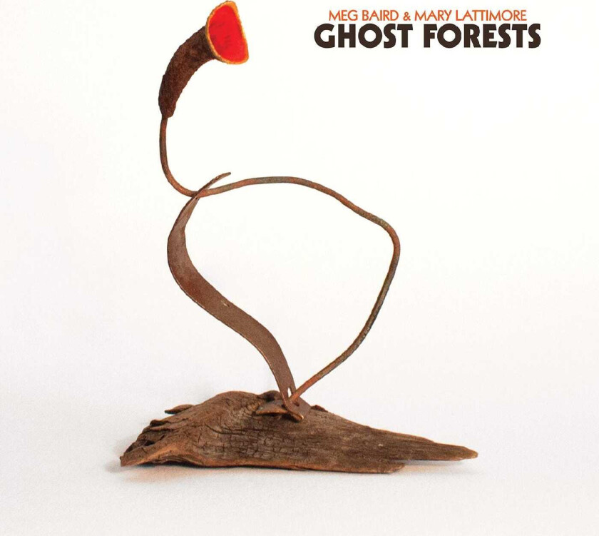 Mary Lattimore, Meg Baird, Meg Baird & Mary Lattimore Ghost Forests LP/Vinyl
