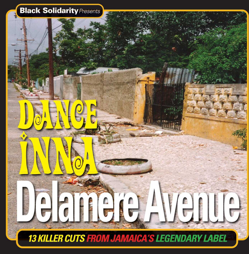 Diverse Reggae Black Solidarity Presents Dance Inna Delamere Avenue LP/Vinyl